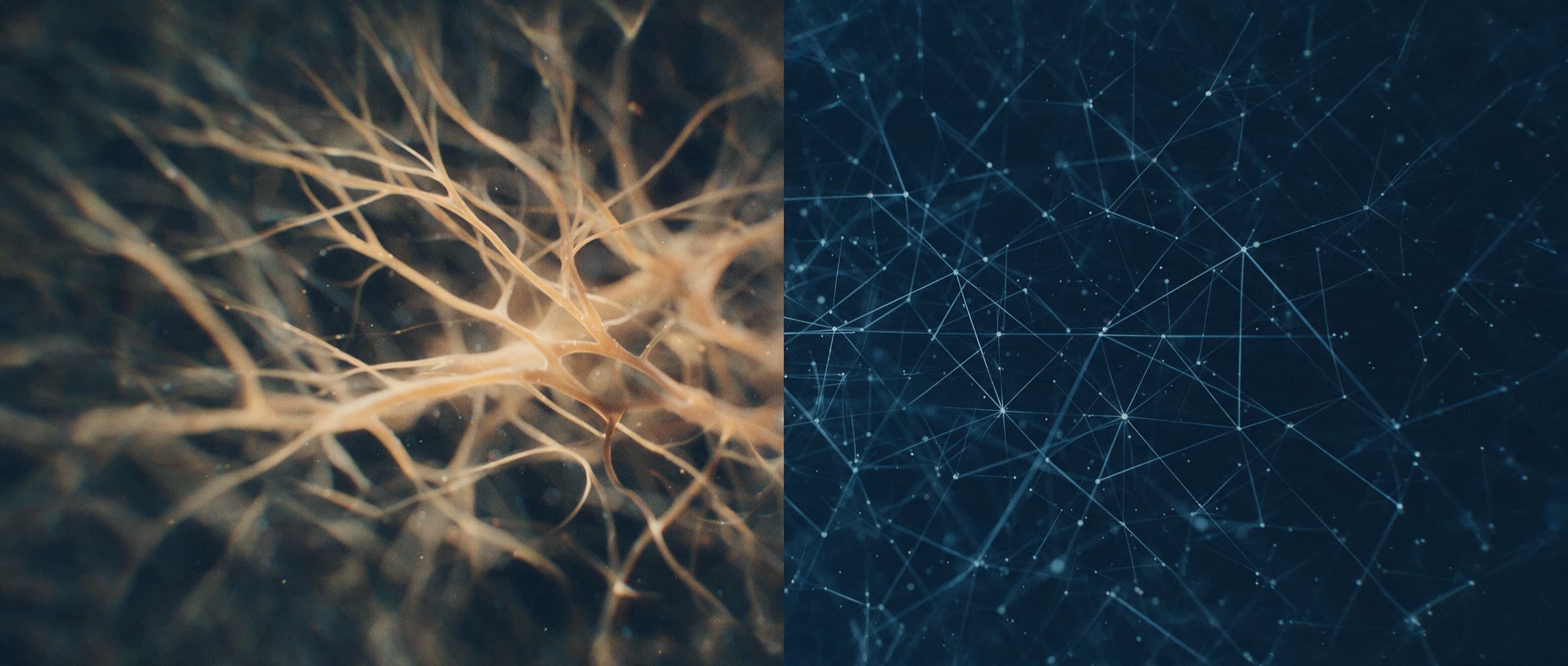 Abstrakte Darstellung: links ein organisch verzweigtes Nervengeflecht in Ocker, rechts ein geometrisches Datennetz in Blau, getrennt durch eine harte Kante.