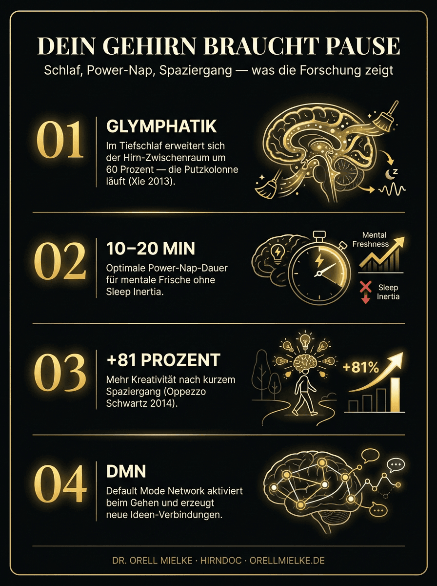 Infografik Recovery: Glymphatik 60%, Power-Nap 10-20 Min, Spaziergang +81% Kreativität, Default Mode Network.
