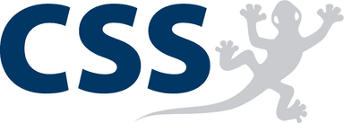 CSS